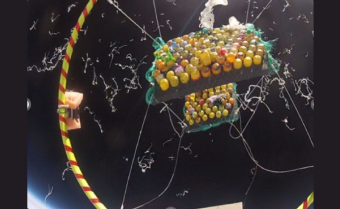Latest News » Leicester High School for Girls' Success with MARSBalloon Project